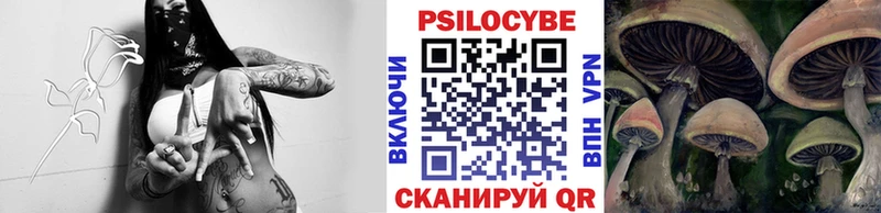 blacksprut ссылки Новотитаровская Псилоцибиновые грибы Psilocybe