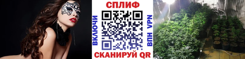 Каннабис LSD WEED  Новотитаровская 